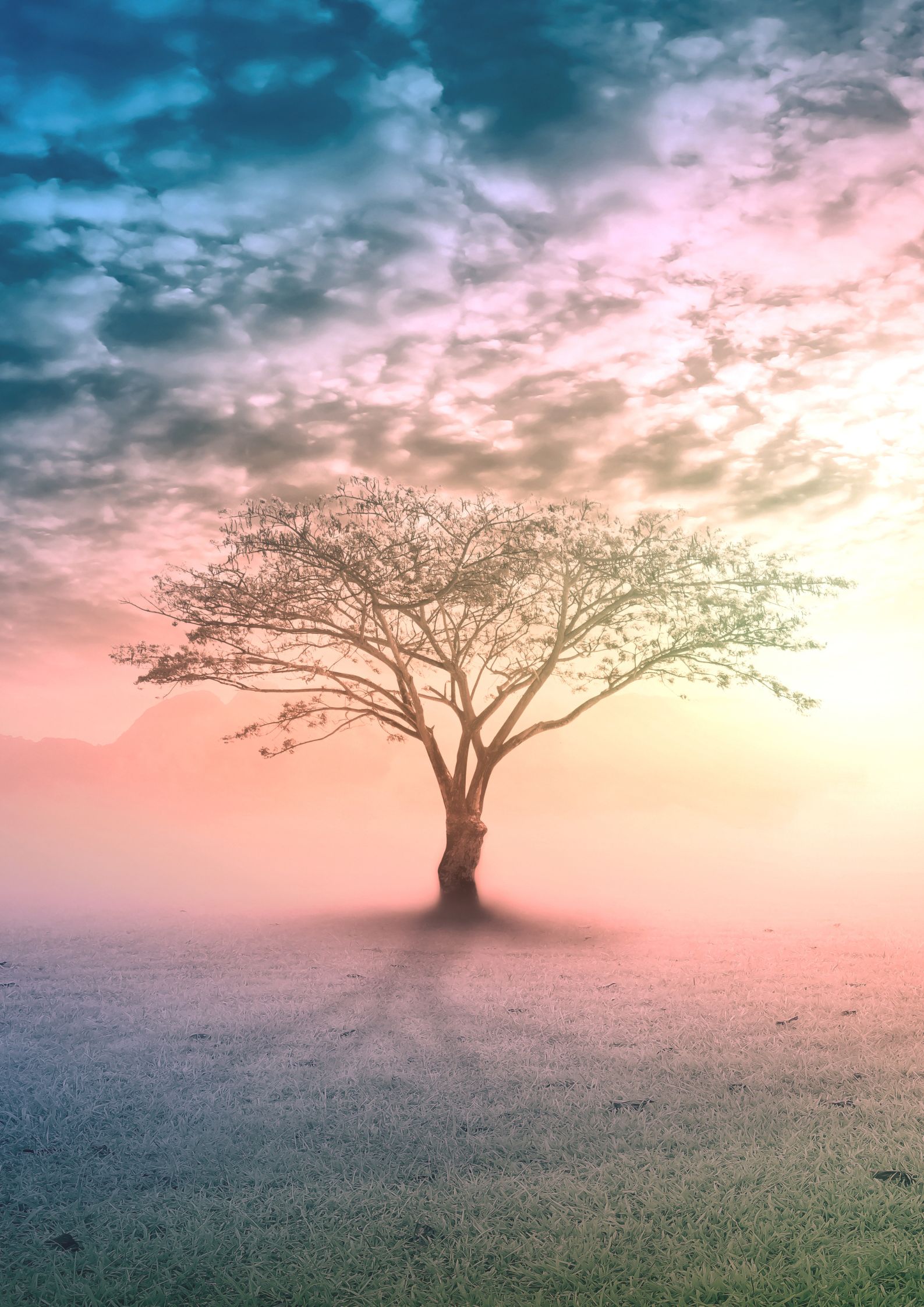 Fremtiden er spirituel